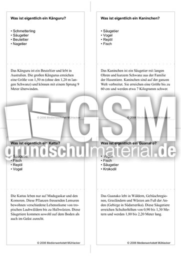 Quiz-Karten-Tiernamen 21.pdf